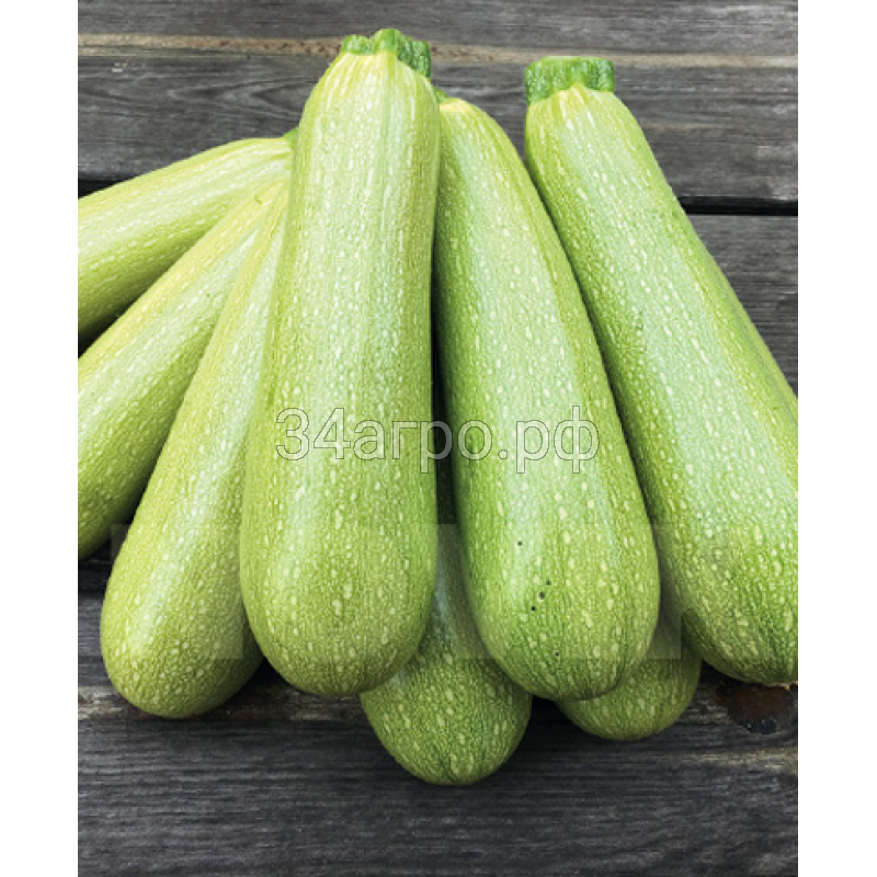 Кабачок Марселла F1 500 семян