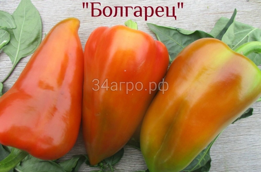 Перец сладкий Болгарец 50 гр.