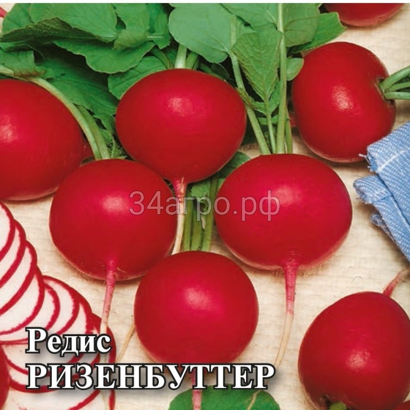Редис Ризенбуттер 20 гр